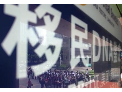 圣基茨移民中介哪家靠谱？三步锁定